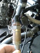 ������ ����������� Nissan Sunny [226904M502] 226904M502 ����
