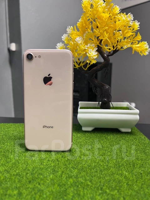 Apple iPhone 8. �/�, 64 ��, �������, 3G, 4G LTE, NFC ����