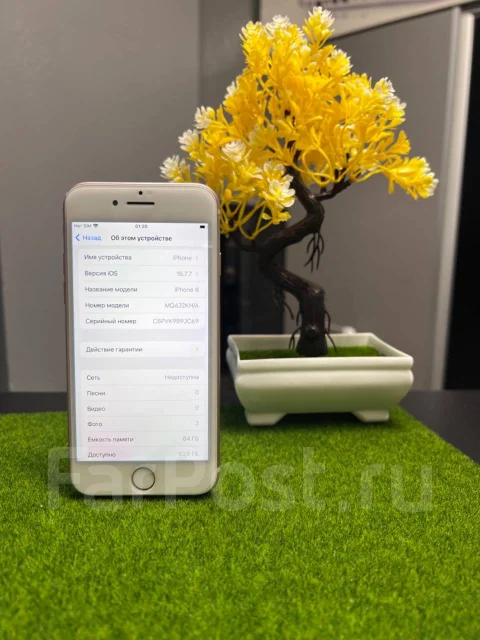 Apple iPhone 8. �/�, 64 ��, �������, 3G, 4G LTE, NFC ����