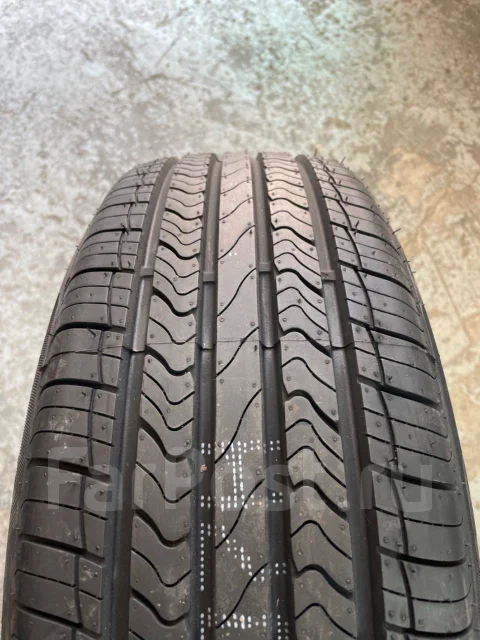 Nereus Dyntrac. ������, 2024 ���, ����� ����