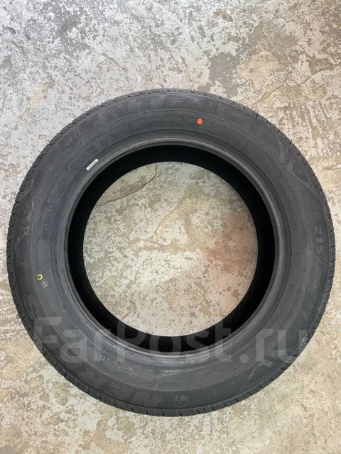 Nereus Dyntrac. ������, 2024 ���, ����� ����