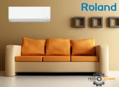 Roland. 25��&sup2; ����