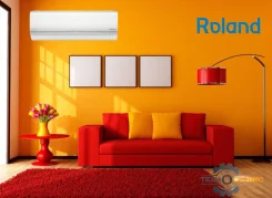 Roland. 25��&sup2; ����