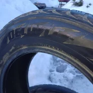 Delinte Winter WD3. �����������, 2019 ���, �/�, ����� 50 % ����