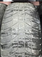 Roadstone Winguard Ice Plus