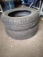 Tigar. ������, �/�, ����� 50 % ����