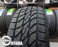 Aoteli Ecolander. ����� at, 2023 ���, ����� ����