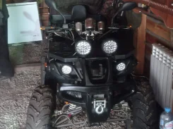 Tiger. ��������, ��� ���\���, ��� ������� ����