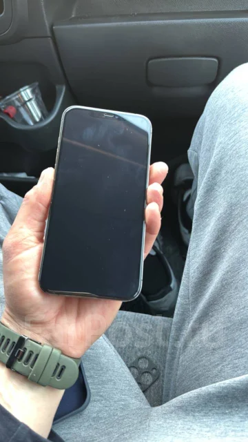 Apple iPhone 12 Pro Max. �/�, 256 ��, ������, 4G LTE ����