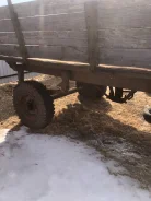 ���. �/�: 5 000���., �����: 2 000���. ����