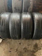 Goform EcoPlus HP. ������, 2018 ���, �/�, ����� 70 % ����
