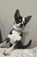 ��������. ����