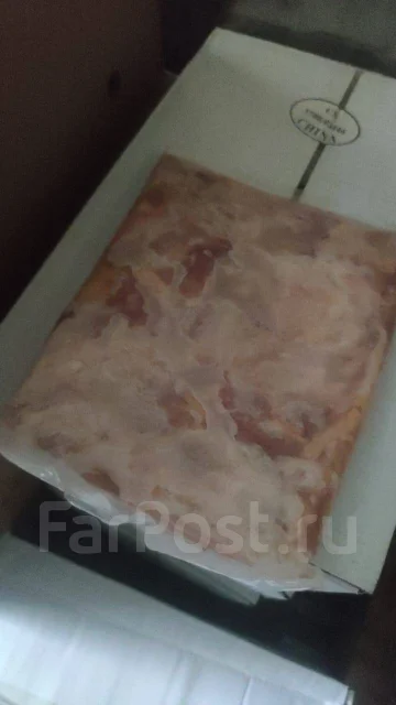 ������. ����