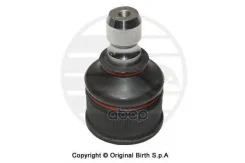 ������� ����� �������� ������ Birth ���. CX9234 CX9234 CX9234 ����