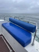 ������������ ������� ������. ����