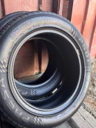 Presa PS01. ������, 2019 ���, �/�, ����� 5 %. �������� ������ ����