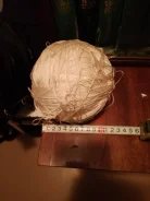 ������ �����. ����