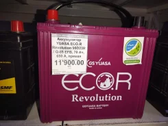 Evolution. 70��.�., 12��., ������ ����