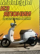Honda Giorno. 49����. ��., ��������, ��� ������� ����