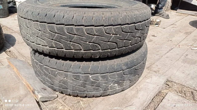 Saferich. �����������, 2017 ���, �/�, ����� 40 % ����