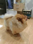����. ����