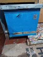 ����. ����