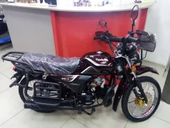 Regulmoto Alpha RM-3. 49����. ��., ��������, ��� ���, ��� ������� ����