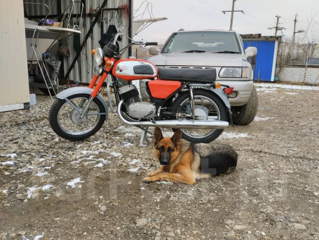 Suzuki DR 650. 650����. ��., ��������, ��� ���, ��� ������� ����