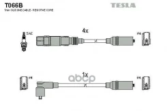 ������� ��������� Tesla ���. T066B T066B ����