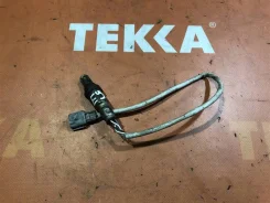 ������ ���� Nissan Qashqai 2014 8200495791 ����