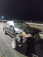 Honda Domani ����