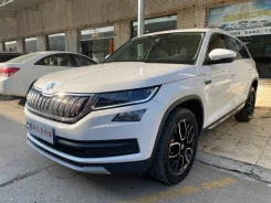 Skoda Kodiaq. �������, ��������, 2.0 (190��.�.), ������, 65 000����. ��, �/�, ��� ���. ��� ����� �� ������������ ����