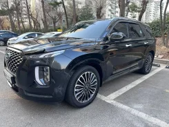 Hyundai Palisade. �������, 4wd, 2.2 (200��.�.), ������, 49 000����. ��, �/�. ��� ����� �� ������������ ����