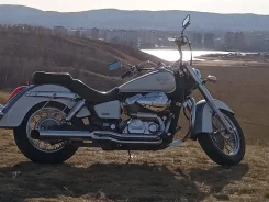 Honda Shadow 750. 750����. ��., ��������, ���������, ������ �� �� ����