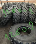 ����-1260-1. �����������, 2024 ���, ����� ����