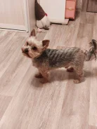 ����������� ������. ����