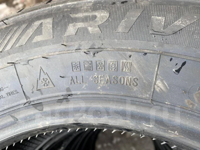 Arivo. �����������, 2024 ���, ����� ����
