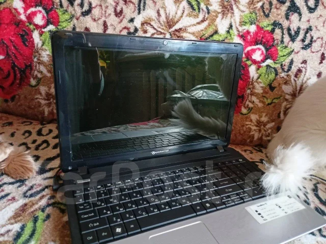 Packard Bell EasyNote TE11-HC. ���� 320���, WiFi: 1 ����