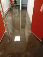 ������ ��������� ������. ����