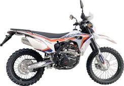 BSE Z6 Y. 250����. ��., ��������, ���������, ��� ������� ����