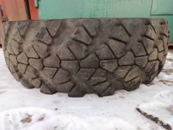 TyRex CRG O-184. ������, �/�, ����� 40 % ����