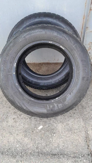 Farroad. ������, ��� �����, 2020 ���, �/�, ����� 40 % ����