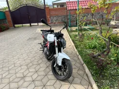 Benelli. 300����. ��., ��������, ���, � �������� ����