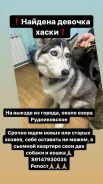 �����. ����