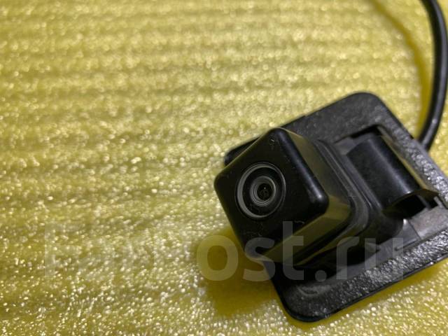 Сегежадағы жезөкшелер