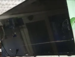 ����� ����