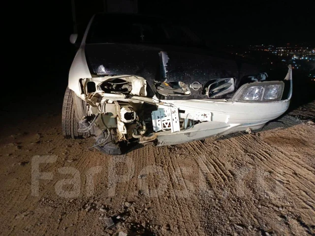 Nissan Primera Camino ����