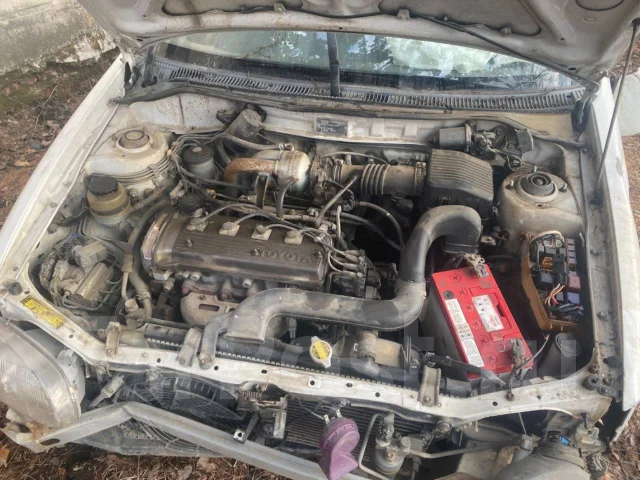 Toyota Starlet ����