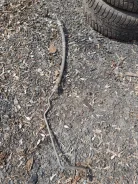 ������ ��� �������� �������� ���� ����� 2 � ������ 1469164 ����