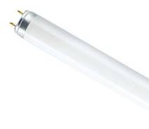   OSRAM 8 36 G13 220 33-640  